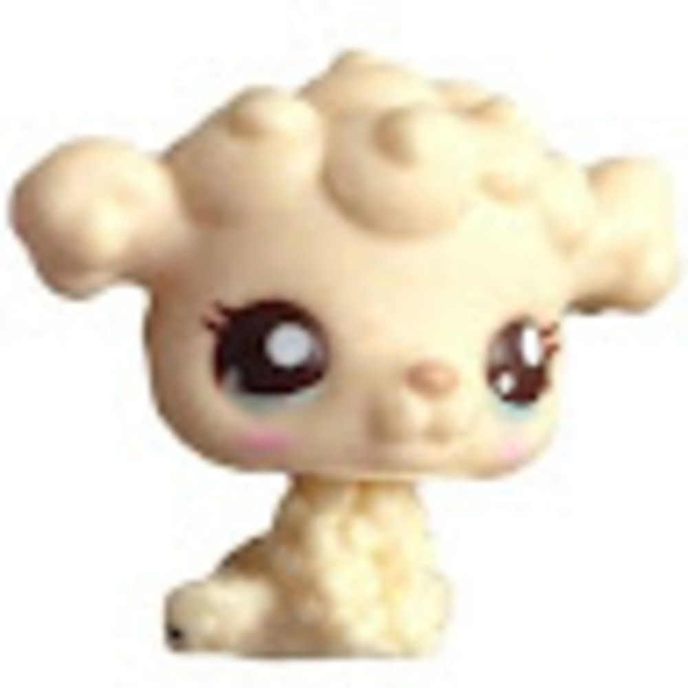 Meet your Posher, Sophie